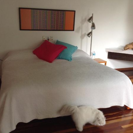 La Casa De Las Magnolias Hotel Coyoacan Eksteriør billede