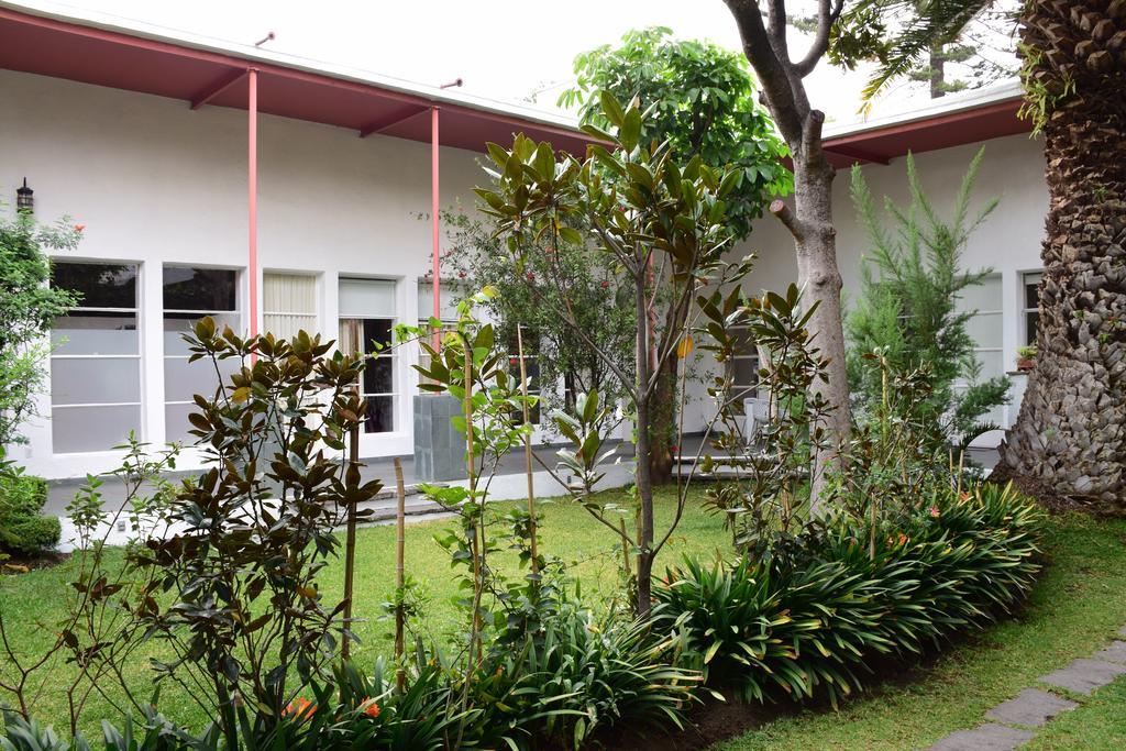 La Casa De Las Magnolias Hotel Coyoacan Eksteriør billede