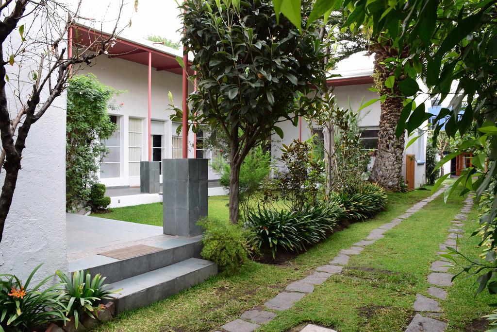 La Casa De Las Magnolias Hotel Coyoacan Eksteriør billede