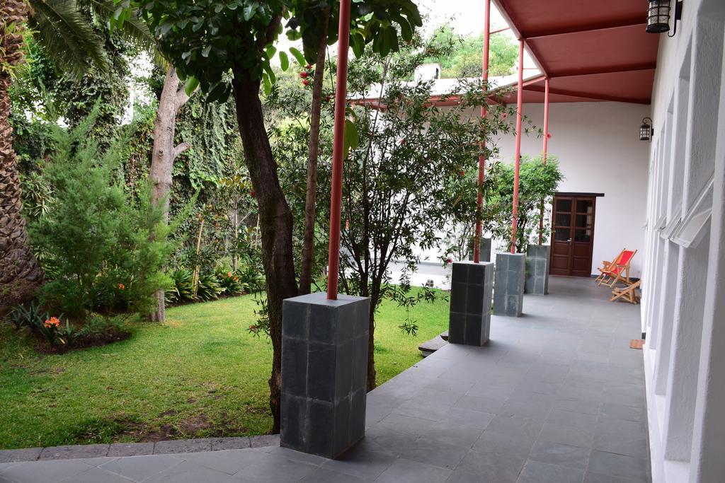 La Casa De Las Magnolias Hotel Coyoacan Eksteriør billede