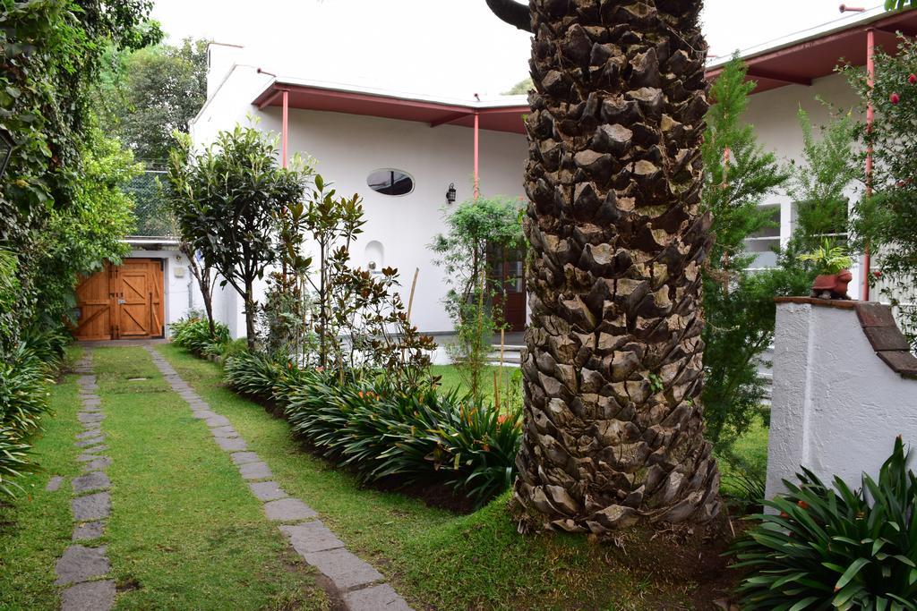 La Casa De Las Magnolias Hotel Coyoacan Eksteriør billede