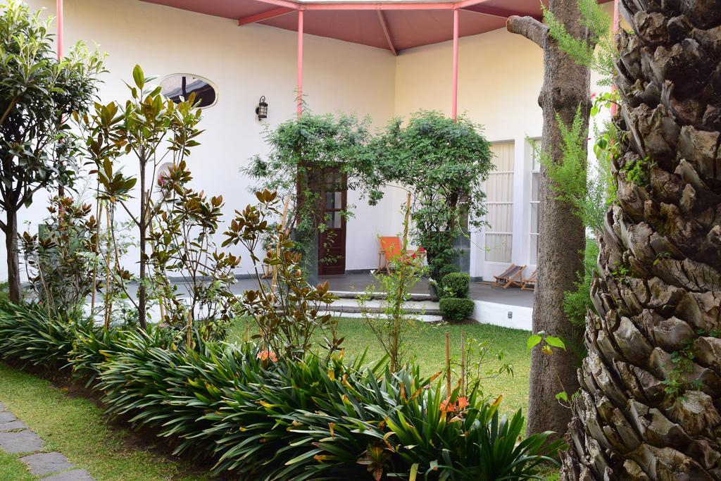 La Casa De Las Magnolias Hotel Coyoacan Eksteriør billede