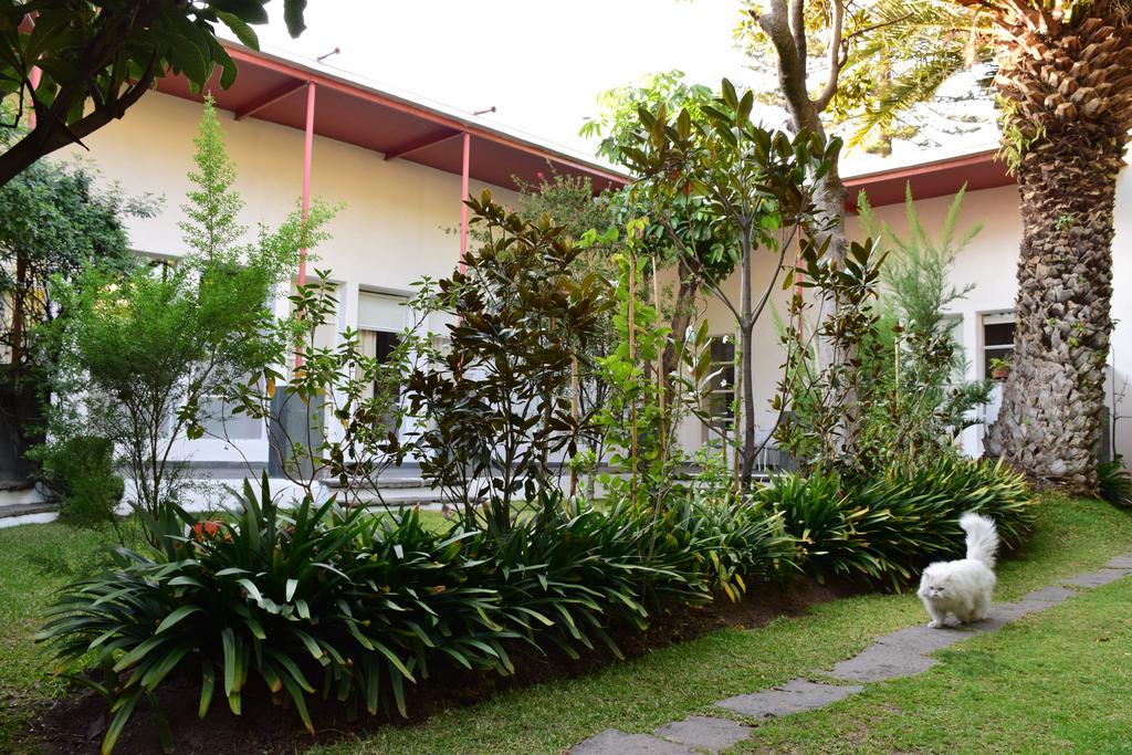 La Casa De Las Magnolias Hotel Coyoacan Eksteriør billede