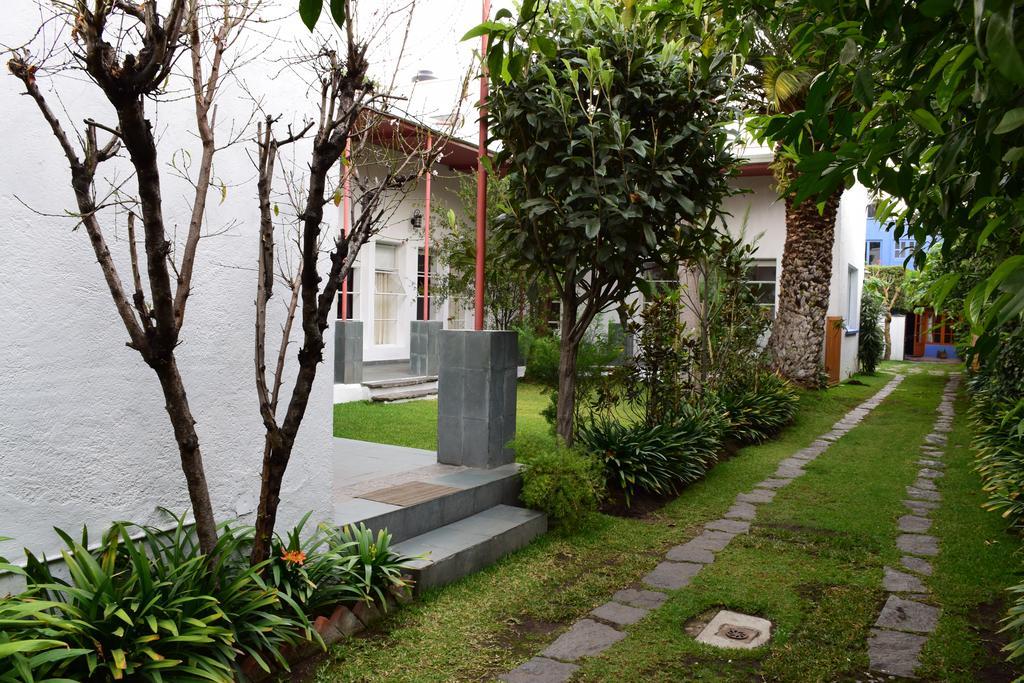 La Casa De Las Magnolias Hotel Coyoacan Eksteriør billede