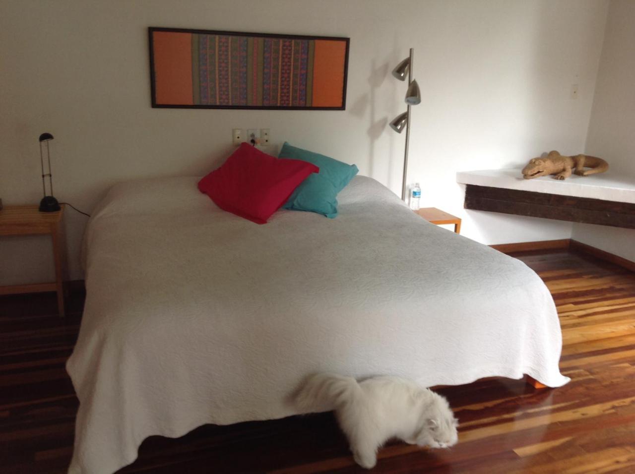 La Casa De Las Magnolias Hotel Coyoacan Eksteriør billede